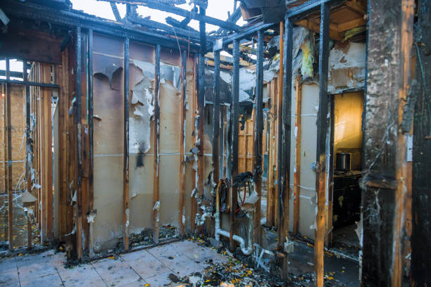 Professional Smoke Damage Removal technician working in Greenbelt, MD